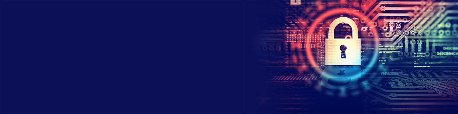 Cyber Liability Insurance